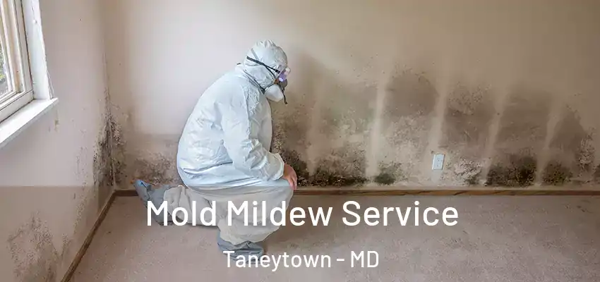 Mold Mildew Service Taneytown - MD