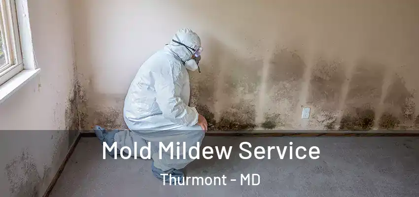  Mold Mildew Service Thurmont - MD