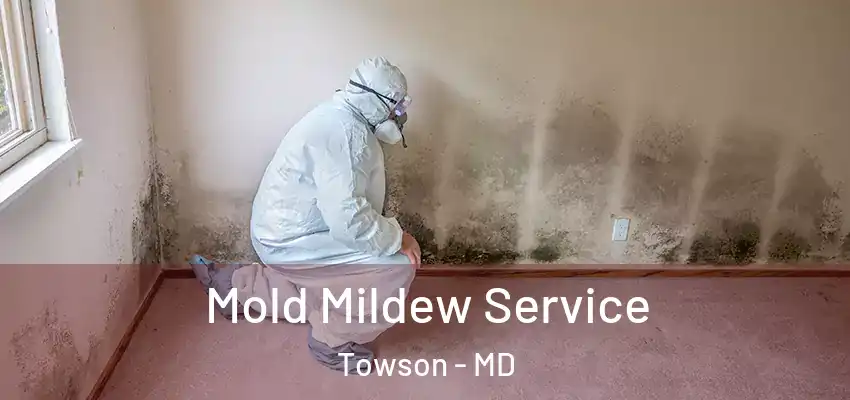 Mold Mildew Service Towson - MD