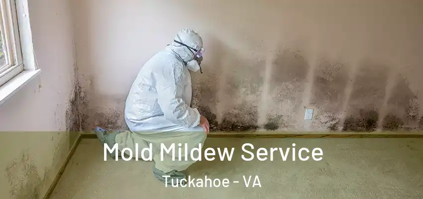  Mold Mildew Service Tuckahoe - VA
