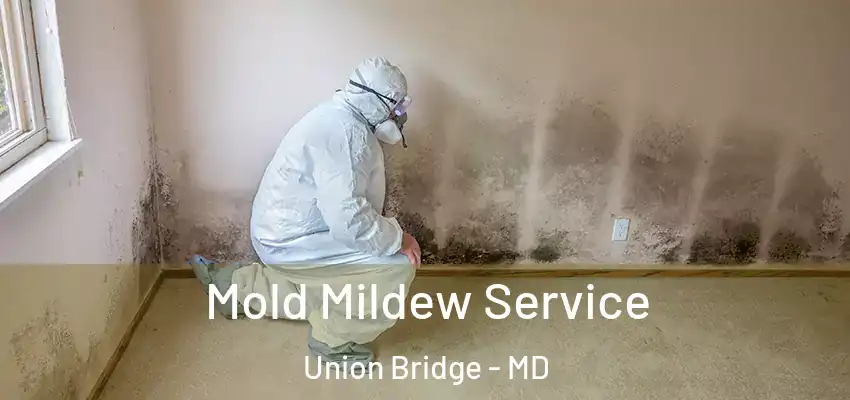  Mold Mildew Service Union Bridge - MD