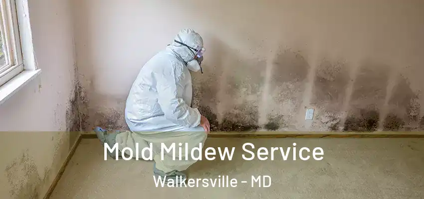 Mold Mildew Service Walkersville - MD