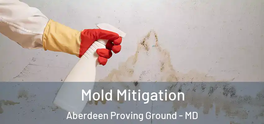  Mold Mitigation Aberdeen Proving Ground - MD