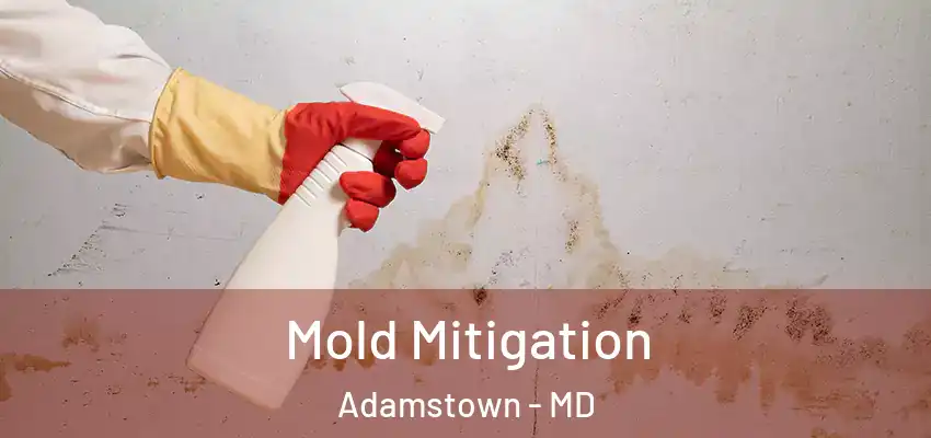 Mold Mitigation Adamstown - MD