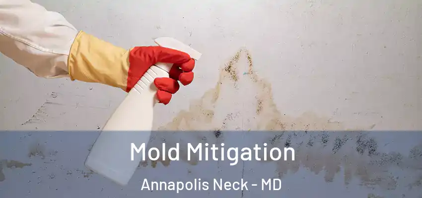Mold Mitigation Annapolis Neck - MD