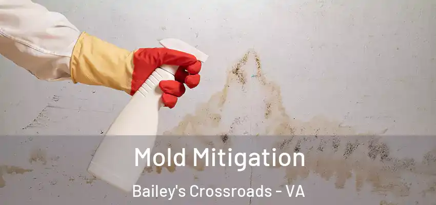 Mold Mitigation Bailey's Crossroads - VA