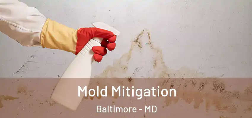  Mold Mitigation Baltimore - MD