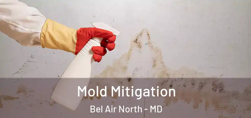  Mold Mitigation Bel Air North - MD