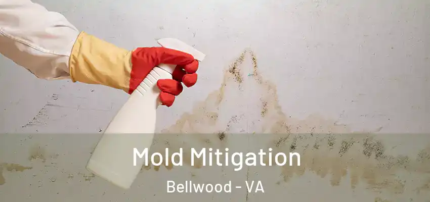  Mold Mitigation Bellwood - VA