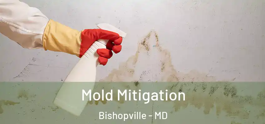 Mold Mitigation Bishopville - MD