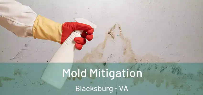 Mold Mitigation Blacksburg - VA
