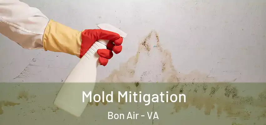  Mold Mitigation Bon Air - VA