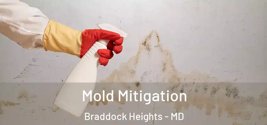  Mold Mitigation Braddock Heights - MD