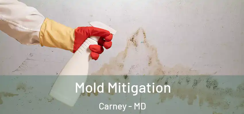  Mold Mitigation Carney - MD