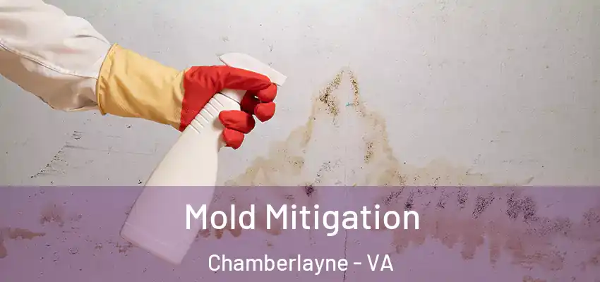 Mold Mitigation Chamberlayne - VA