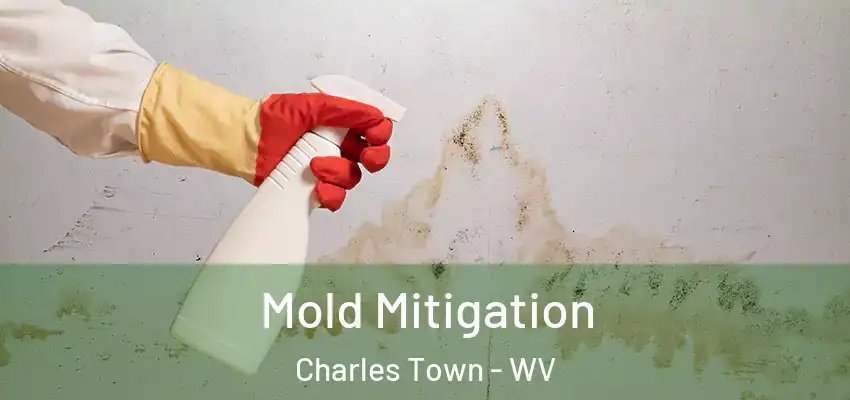  Mold Mitigation Charles Town - WV