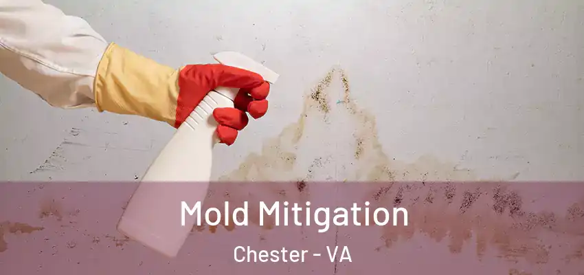  Mold Mitigation Chester - VA