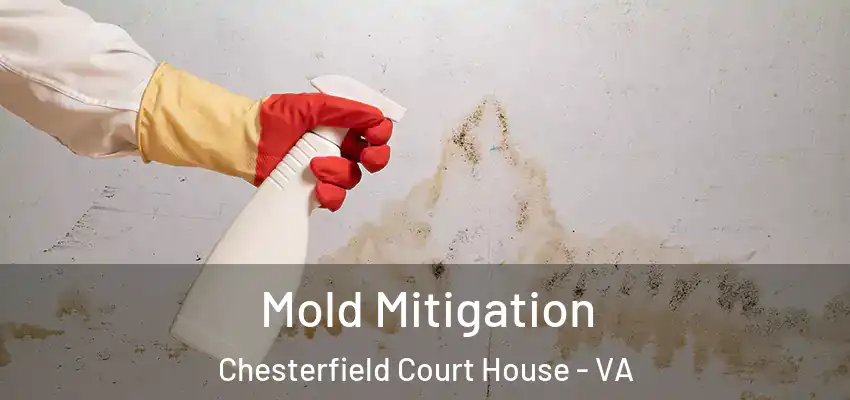 Mold Mitigation Chesterfield Court House - VA