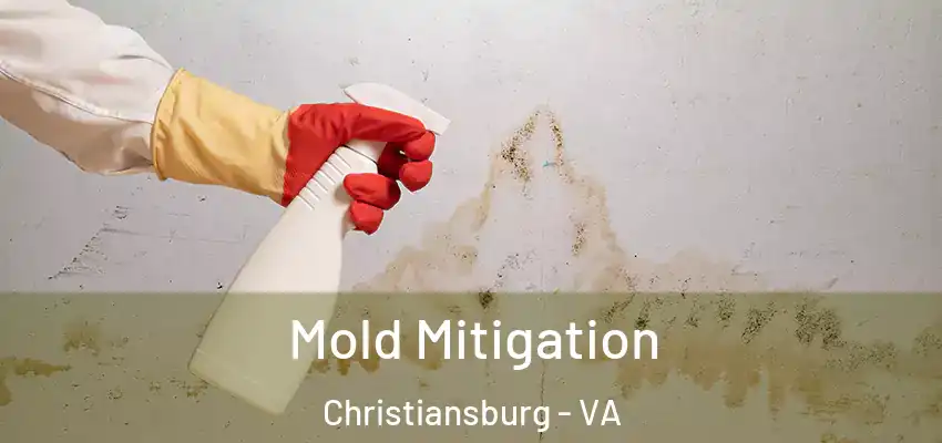 Mold Mitigation Christiansburg - VA