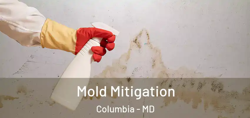  Mold Mitigation Columbia - MD