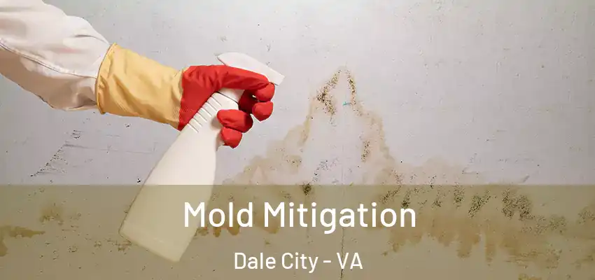  Mold Mitigation Dale City - VA