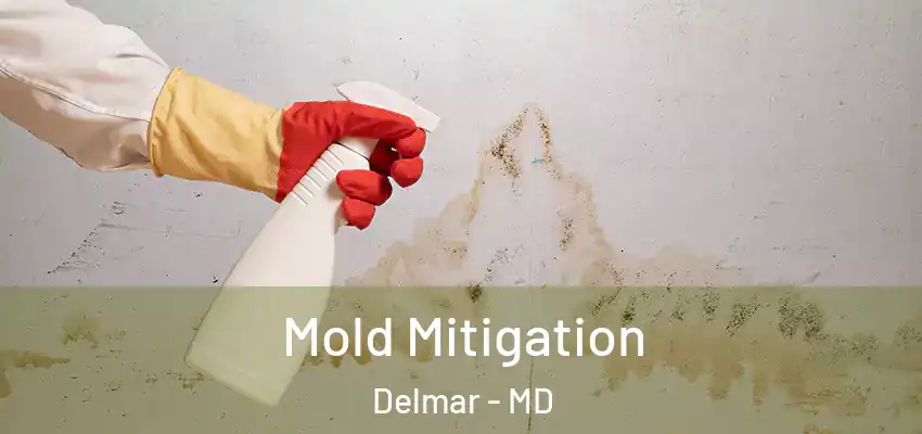  Mold Mitigation Delmar - MD