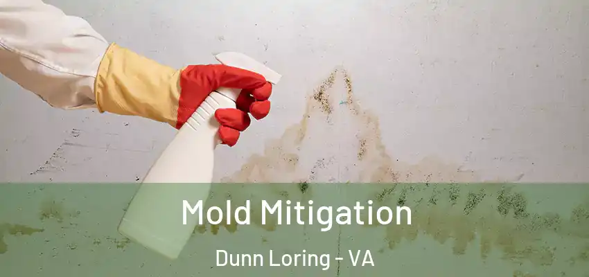 Mold Mitigation Dunn Loring - VA