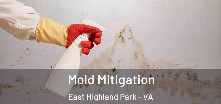 Mold Mitigation East Highland Park - VA
