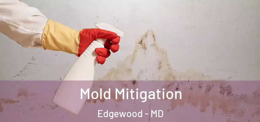  Mold Mitigation Edgewood - MD