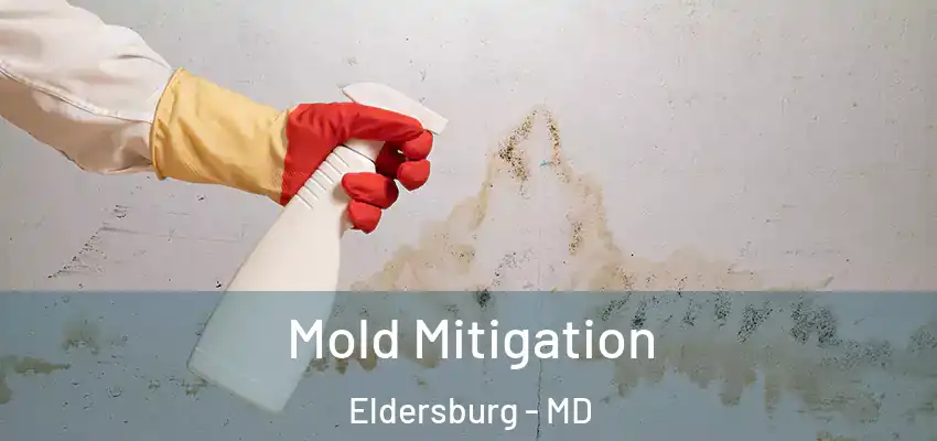  Mold Mitigation Eldersburg - MD