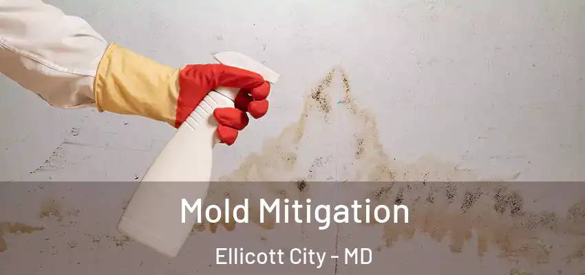 Mold Mitigation Ellicott City - MD