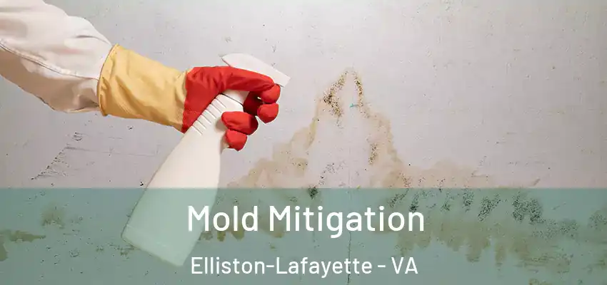Mold Mitigation Elliston-Lafayette - VA
