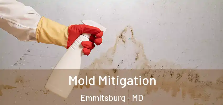  Mold Mitigation Emmitsburg - MD