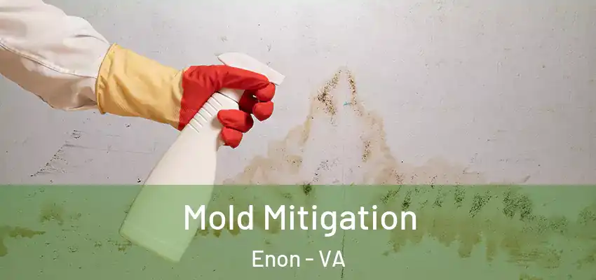  Mold Mitigation Enon - VA