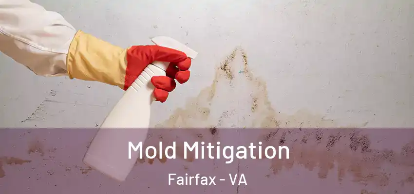  Mold Mitigation Fairfax - VA