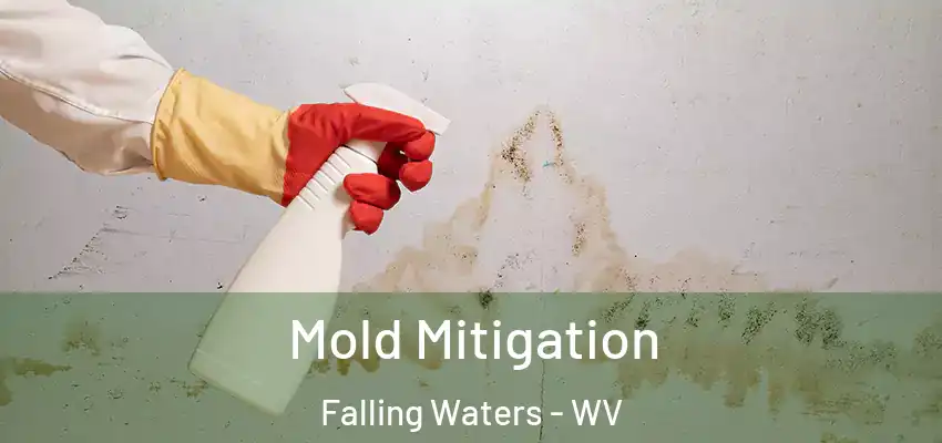  Mold Mitigation Falling Waters - WV