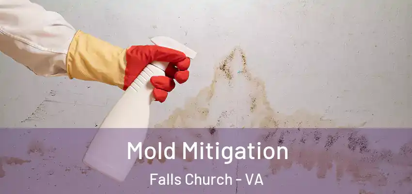 Mold Mitigation Falls Church - VA