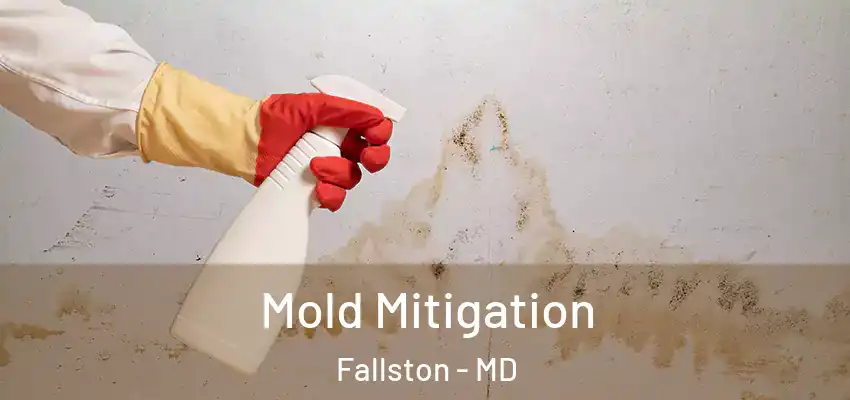  Mold Mitigation Fallston - MD