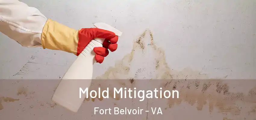  Mold Mitigation Fort Belvoir - VA