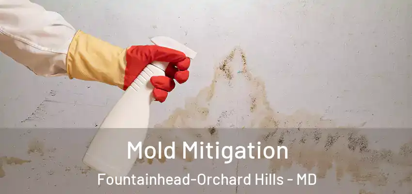  Mold Mitigation Fountainhead-Orchard Hills - MD