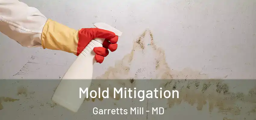  Mold Mitigation Garretts Mill - MD