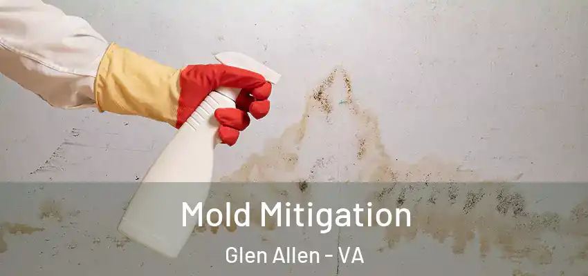 Mold Mitigation Glen Allen - VA