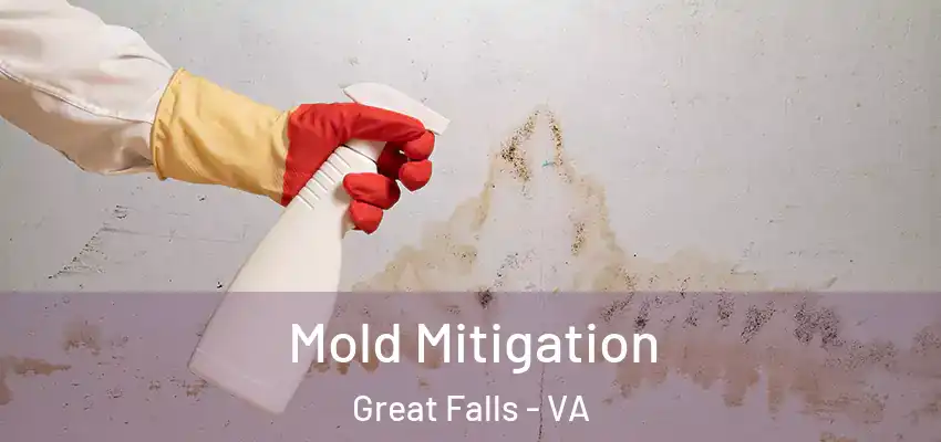  Mold Mitigation Great Falls - VA