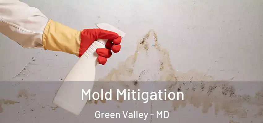 Mold Mitigation Green Valley - MD