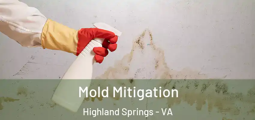  Mold Mitigation Highland Springs - VA