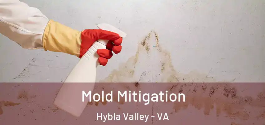 Mold Mitigation Hybla Valley - VA