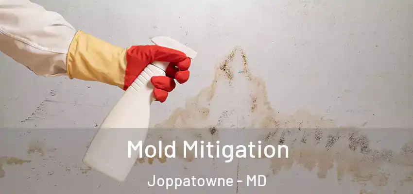  Mold Mitigation Joppatowne - MD