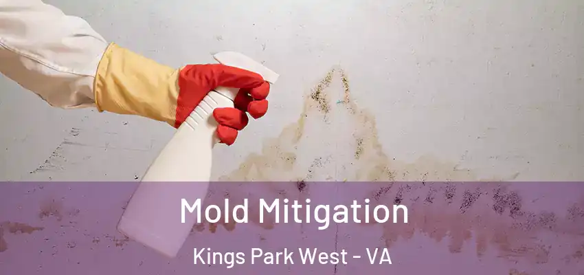 Mold Mitigation Kings Park West - VA