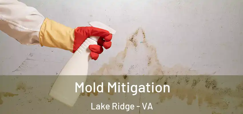 Mold Mitigation Lake Ridge - VA