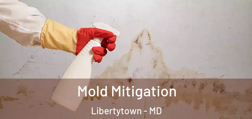  Mold Mitigation Libertytown - MD